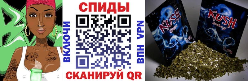 БУТИРАТ вода  гидра ССЫЛКА  Дмитриев 