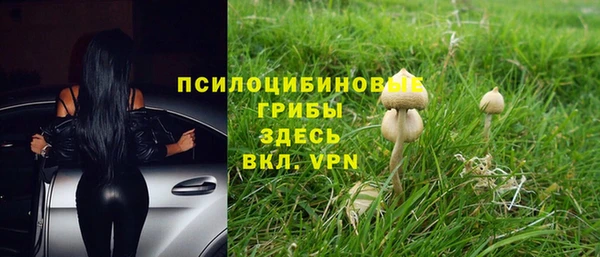 сатива Алексеевка