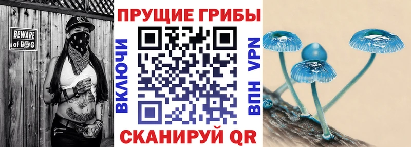 Псилоцибиновые грибы мухоморы  гидра вход  Дмитриев 